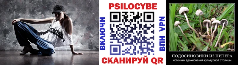 Псилоцибиновые грибы Magic Shrooms  Сургут 