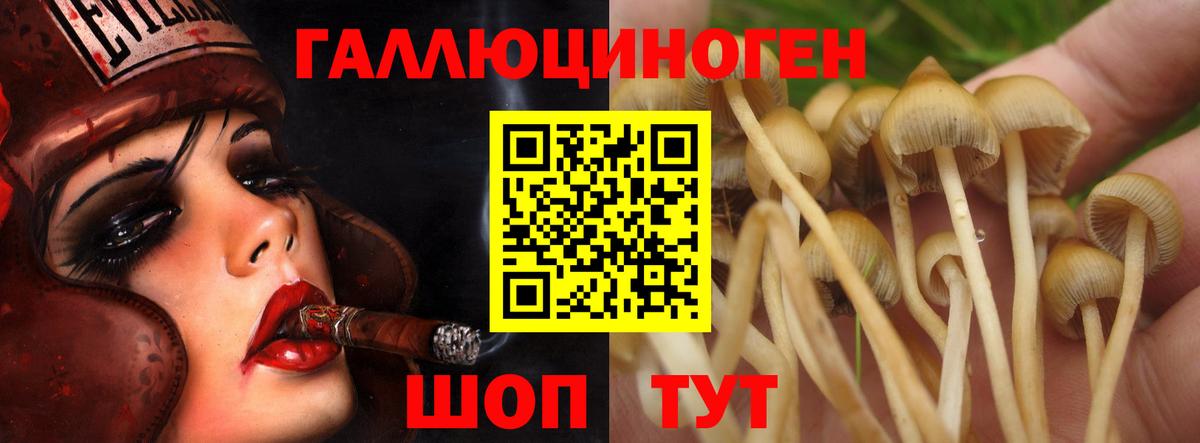 закладки  Галлюциногенные грибы MAGIC MUSHROOMS  Сургут  Вход с VPN  Галлюциногенные грибы мухоморы 